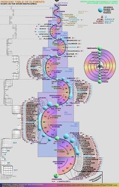 a diagram showing the different stages of life in an animal's cell, and how they