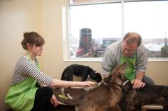 a man and woman petting two dogs in front of a window