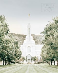 a large white church with trees in front of it