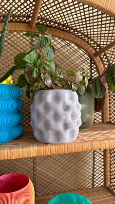 three different colored pots on a wicker shelf next to each other with plants in them