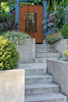 an entrance to a house with steps leading up to it and plants growing on either side