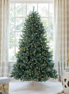 King of Christmas 7' Tribeca Spruce Blue Artificial Christmas Tree with 550 Warm White LED Lights Blue Spruce Tree, Colorado Blue Spruce, Flocked Tree, Spruce Christmas Tree, Wreaths Ideas, Artificial Christmas Trees, Warm White Led Lights, Spruce Tree, Blue Spruce