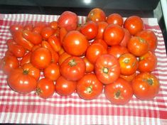 a pile of tomatoes sitting on top of a red and white checkered table cloth