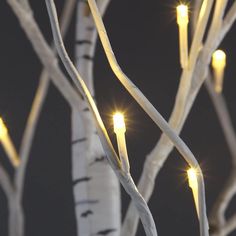 some white branches with yellow lights on them