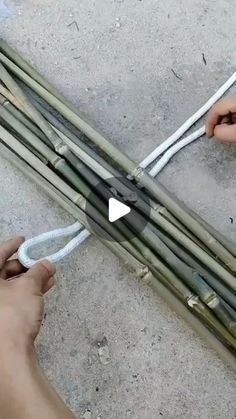 two hands are holding several bundles of bamboo sticks, one is white and the other is brown