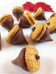 some cookies and chocolates on a white plate with a maple leaf in the background