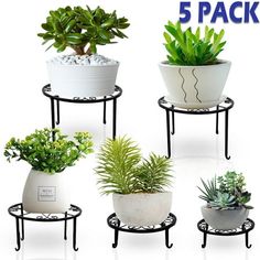 four different types of potted plants sitting on small black stands with text that reads 5 pack