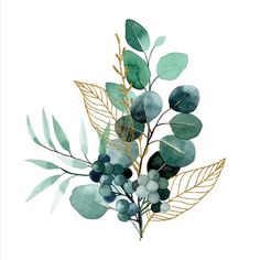 a watercolor painting of green leaves and berries