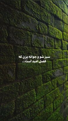 a brick wall covered in green moss with an arabic quote on the top and bottom