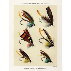 Salmon Fishing Flies II from Favorite Flies and Their Histories Poster Print - Mary Orvis Marbury-VARPDX65034 Image 1 Fly Fishing Art, Fly Fishing Lures, History Posters, Salmon Flies, Fish Illustration, Salmon Fishing, Vintage Fishing, Vintage Art Prints, Fish Art