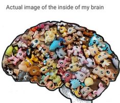 an image of the inside of a brain with little toy animals all over it's surface