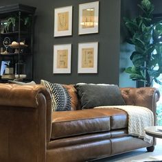 a brown leather couch sitting in front of a book shelf with pictures on the wall