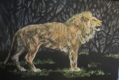 a drawing of a lion standing in the grass