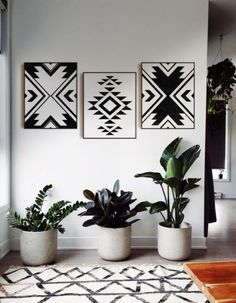 three potted plants sit on the floor in front of a white wall with black and white designs