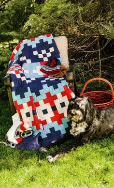 a dog laying in the grass next to a quilt