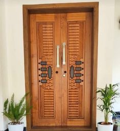 a wooden door with two planters and potted plants on the ground in front of it