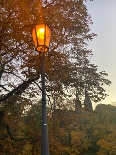 a lamp post with trees in the background