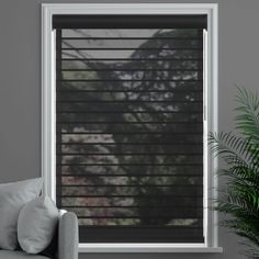 a living room with a couch and window covered in blinds