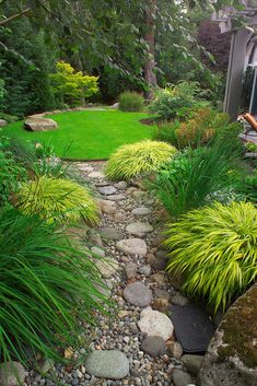 a garden with rocks and plants in it