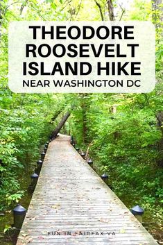 a wooden walkway in the woods with text overlay reading theodore roosevelt island hike near washington dc