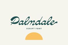 the font used for this logo is called'dalndale script font, which has been