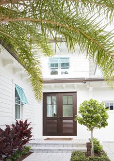 a white house with a brown door and green plants in the front yard on a sunny day