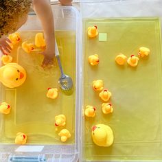 two plastic trays filled with yellow rubber ducks and one has a spoon in it