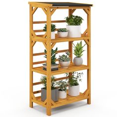 a wooden shelf filled with potted plants on top of it's sides and bottom shelves