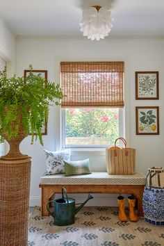 a room with a bench, potted plant and other items