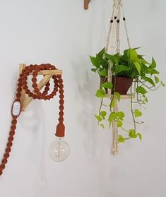 a plant hanging from a hook on the wall next to a light bulb and cord