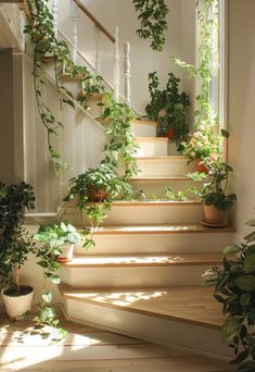 some potted plants are on the stairs