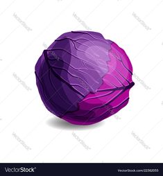 purple cabbage on white background with clippings for your own text or image eps file