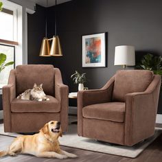 a dog and cat are sitting in chairs next to each other on the floor near a window