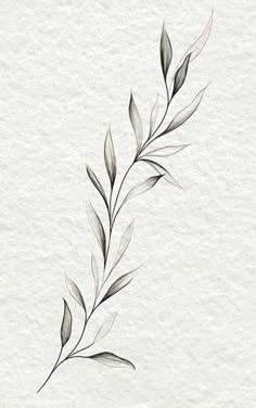 Olive Branch Tattoo, Wrap Around Tattoo, Around Arm Tattoo, Vine Tattoo, Wrap Tattoo, Branch Tattoo, Classy Tattoos, Tattoo Arm