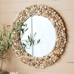 there is a mirror made out of shells on the wall next to a potted plant