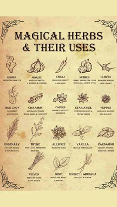 Herbs And Their Uses, Witchy Kitchen, Materi Bahasa Jepang, Witch Herbs