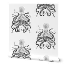 an octopus wallpaper with black and white designs on it's face, in front of a white background