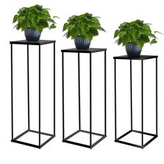 three black metal plant stands with plants in them