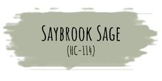 the words saybook sage are painted in black and white on a light green background