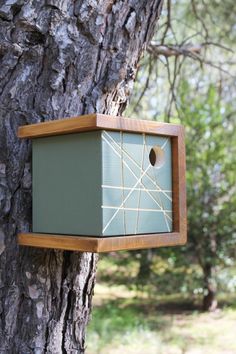 a birdhouse hanging from the side of a tree