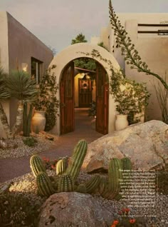 an image of a cactus in front of a house with rocks and cacti