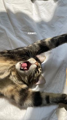 a cat laying on top of a bed with it's paw in the air