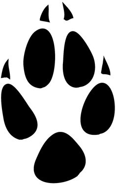 an animal's paw print on a white background is shown in the shape of a bear claw