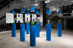 several blue vases with plants in them are on display at an indoor museum exhibit