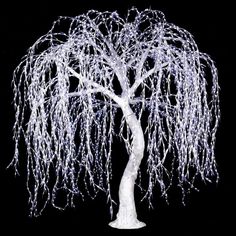 a white tree with lots of branches on it's trunk is lit up in the dark