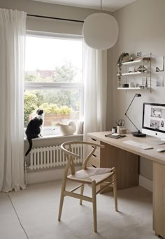 a cat sitting on top of a desk next to a window