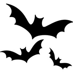 two bats flying in the air