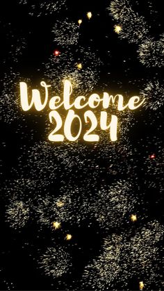 fireworks are lit up in the night sky with welcome 2051 written on it's side