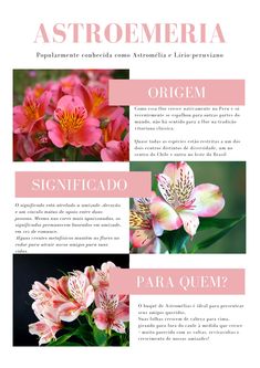 an image of flowers in spanish and english