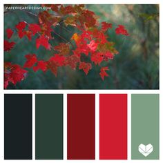 red and green leaves are featured in this color palette